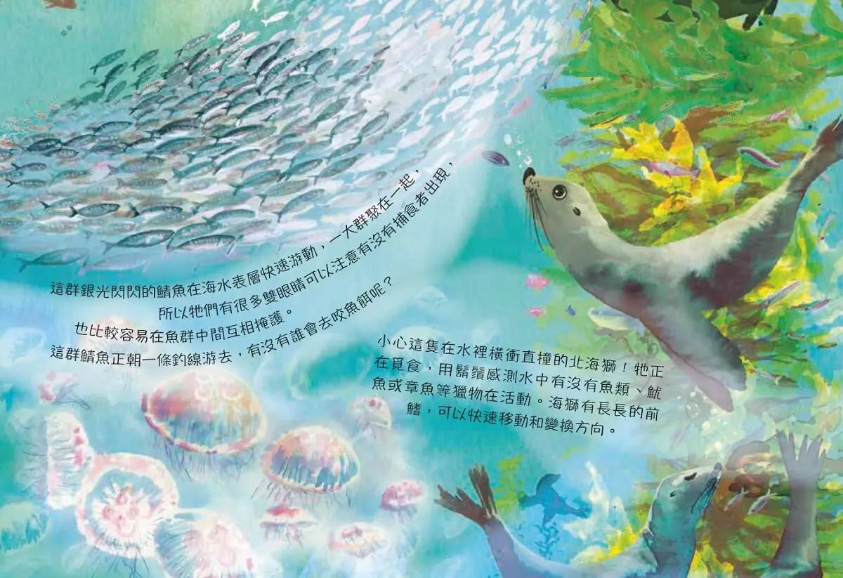 海洋裡有什麼呢?