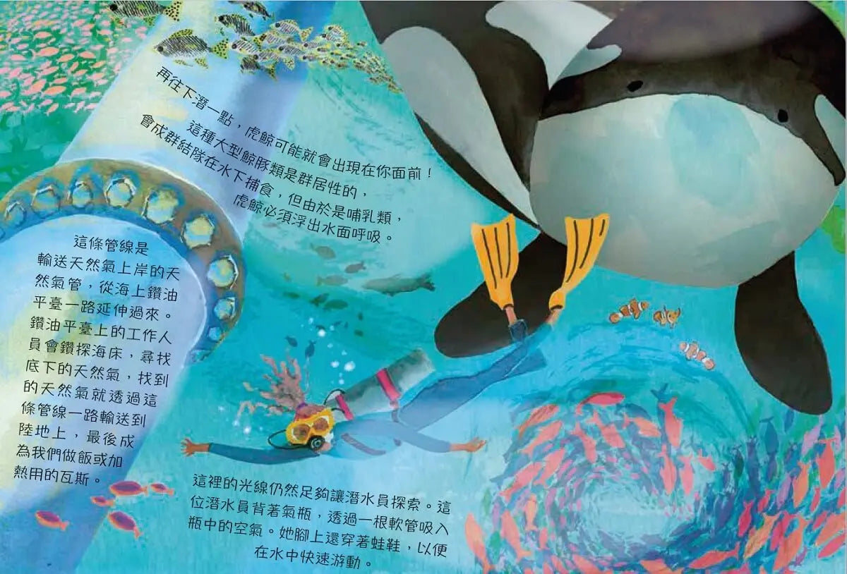 海洋裡有什麼呢?