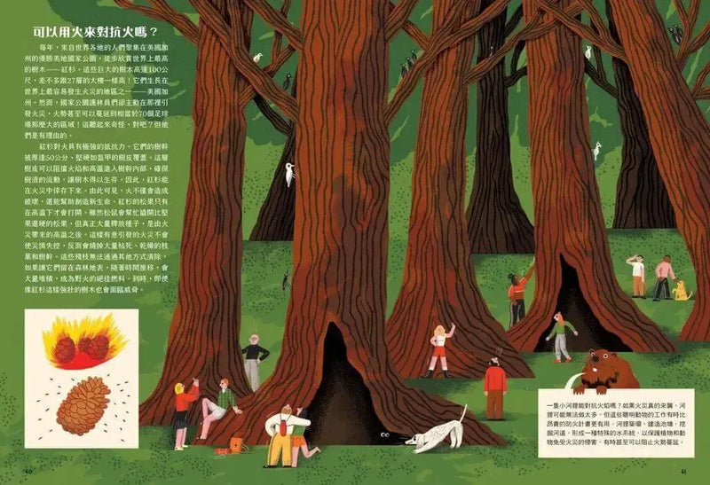 地球人與生存元素的大小事：火從哪裡來？：從神話到科技，了解火如何點燃文明、改變世界-Children’s / Teenage general interest: Science and technology-買書書 BuyBookBook