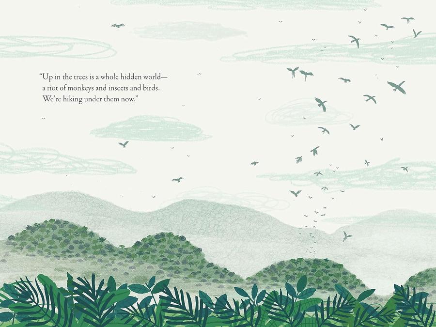 Over and Under the Rainforest-Children’s / Teenage general interest: Nature and animals-買書書 BuyBookBook