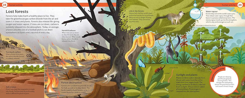 Mind Mappers: How Do We Stop Climate Change? (Tom Jackson)-Children’s / Teenage personal and social topics-買書書 BuyBookBook