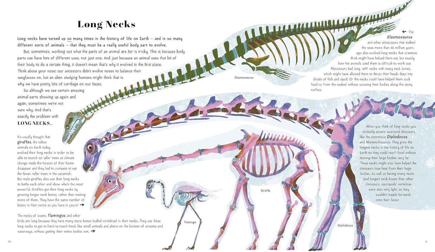 Awesome Animal Evolution: Discover the Greatest Success Stories of Animal Adaptation!