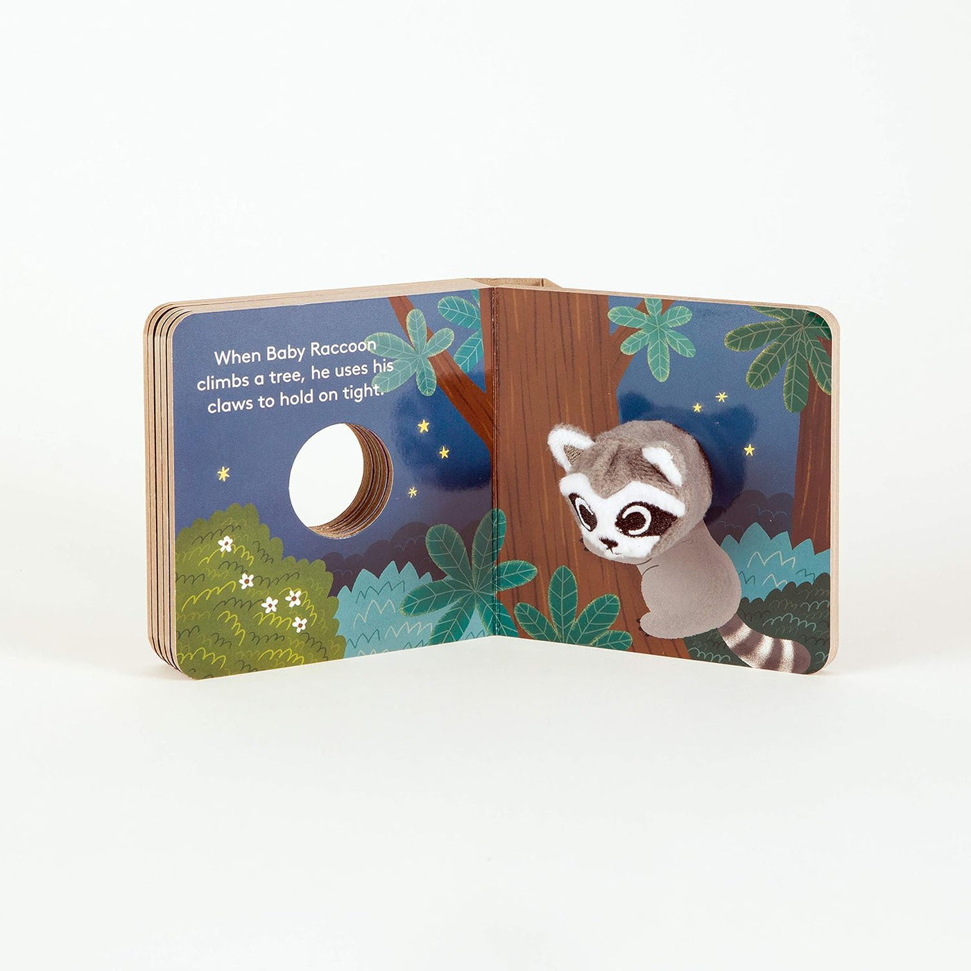 Baby Raccoon