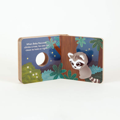 Baby Raccoon