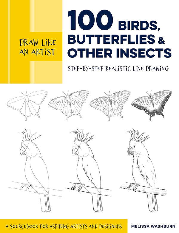 Draw Like an Artist: 100 Birds,Butterflies & Other Insects