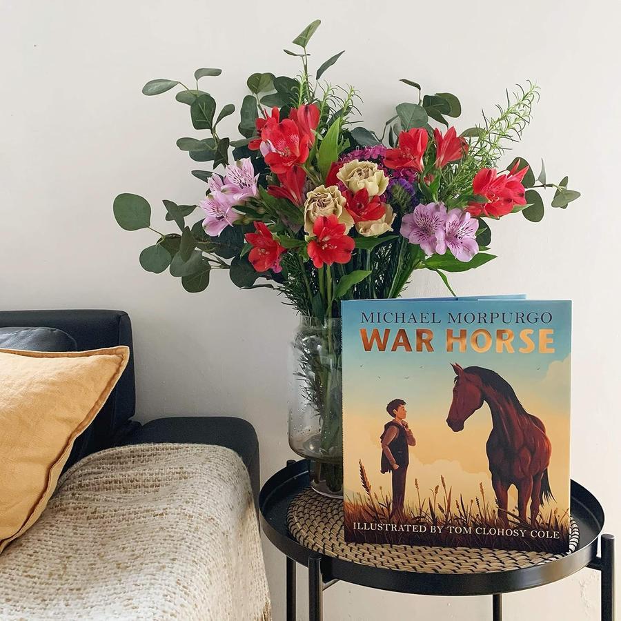 War Horse (Michael Morpurgo)-Children’s / Teenage fiction: Classic and traditional-買書書 BuyBookBook