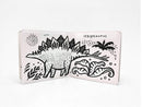 Colour Me Bath book: Who Loves Dinosaurs?-Activity: 創作手工 Creating & Crafting-買書書 BuyBookBook