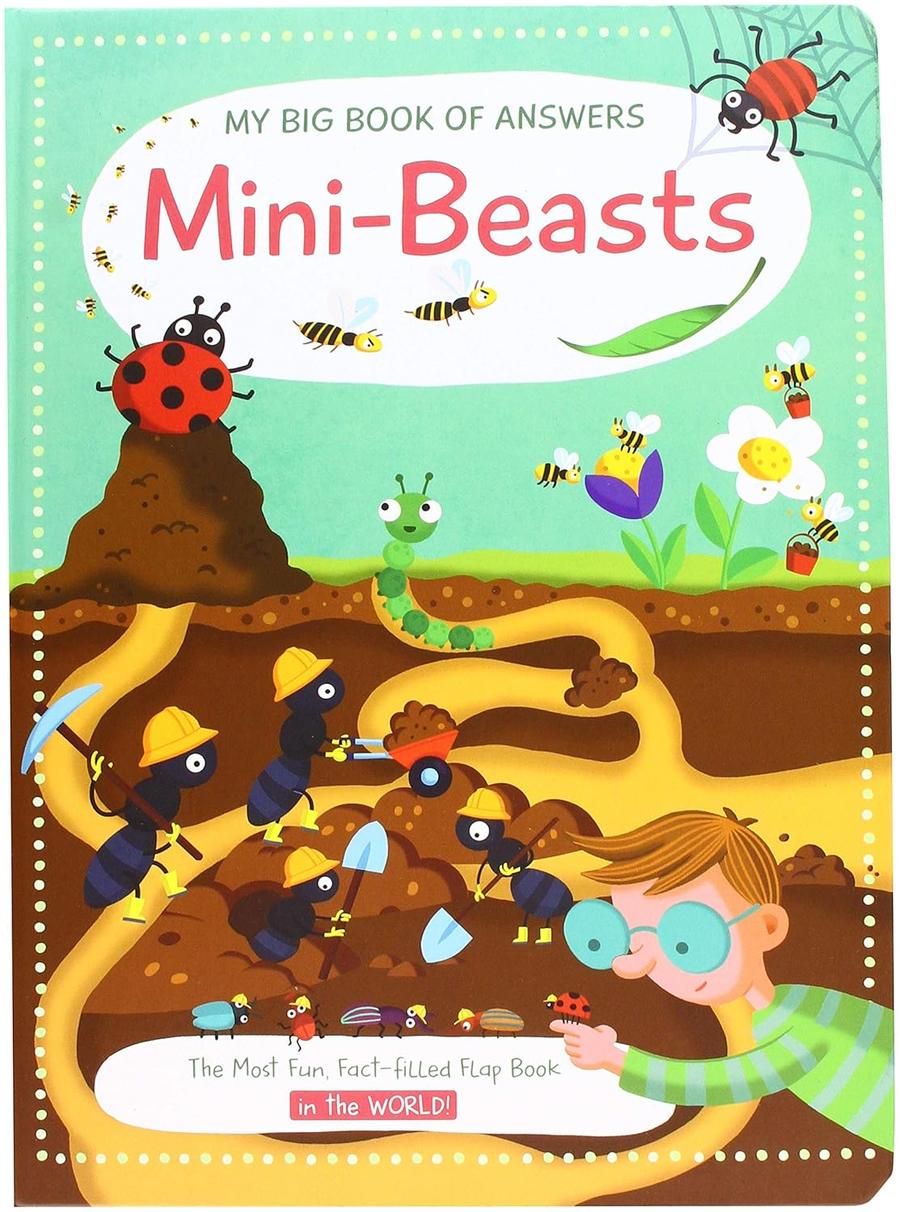Mini Beasts (My Big Book of Answers) (Yoyo Books)