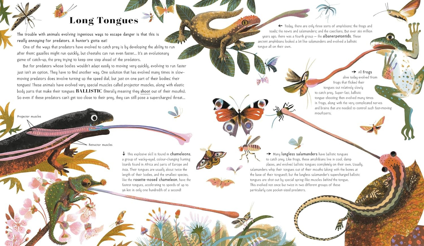 Awesome Animal Evolution: Discover the Greatest Success Stories of Animal Adaptation!