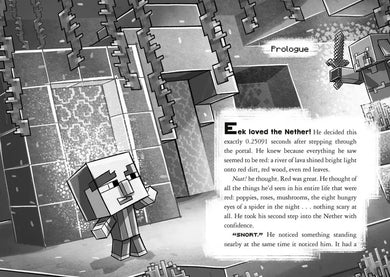 Minecraft Ironsword Academy