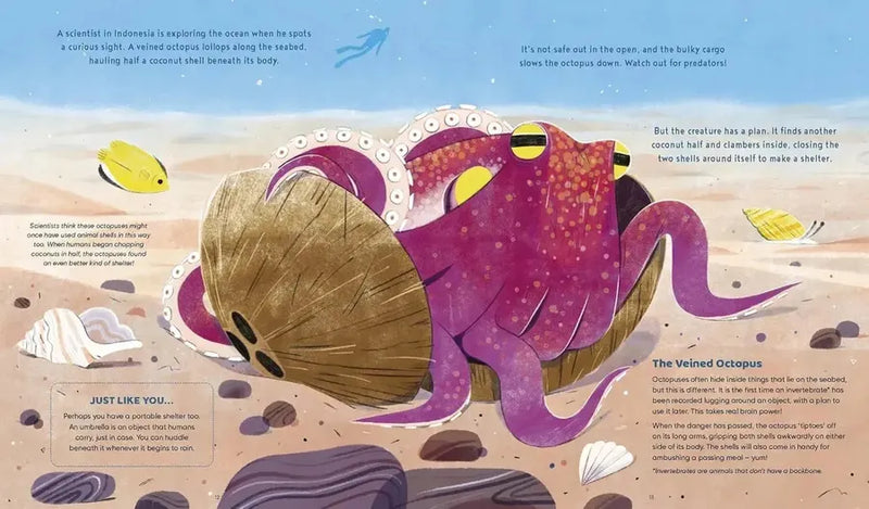 Curious Creatures: Working With Tools (Zoë Armstrong)-Children’s / Teenage general interest: Nature and animals-買書書 BuyBookBook