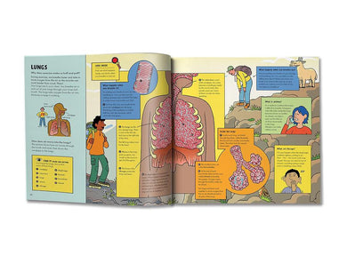 Marvellous Body (Jane Wilsher)-Children’s / Teenage general interest: Science and technology-買書書 BuyBookBook