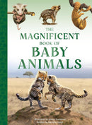 The Magnificent Book of Baby Animals (Barbara Taylor)-Children’s / Teenage general interest: Nature and animals-買書書 BuyBookBook