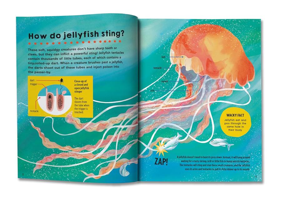 First Big Book of How (Sally Symes)-Children’s / Teenage general interest: General knowledge and interesting facts-買書書 BuyBookBook