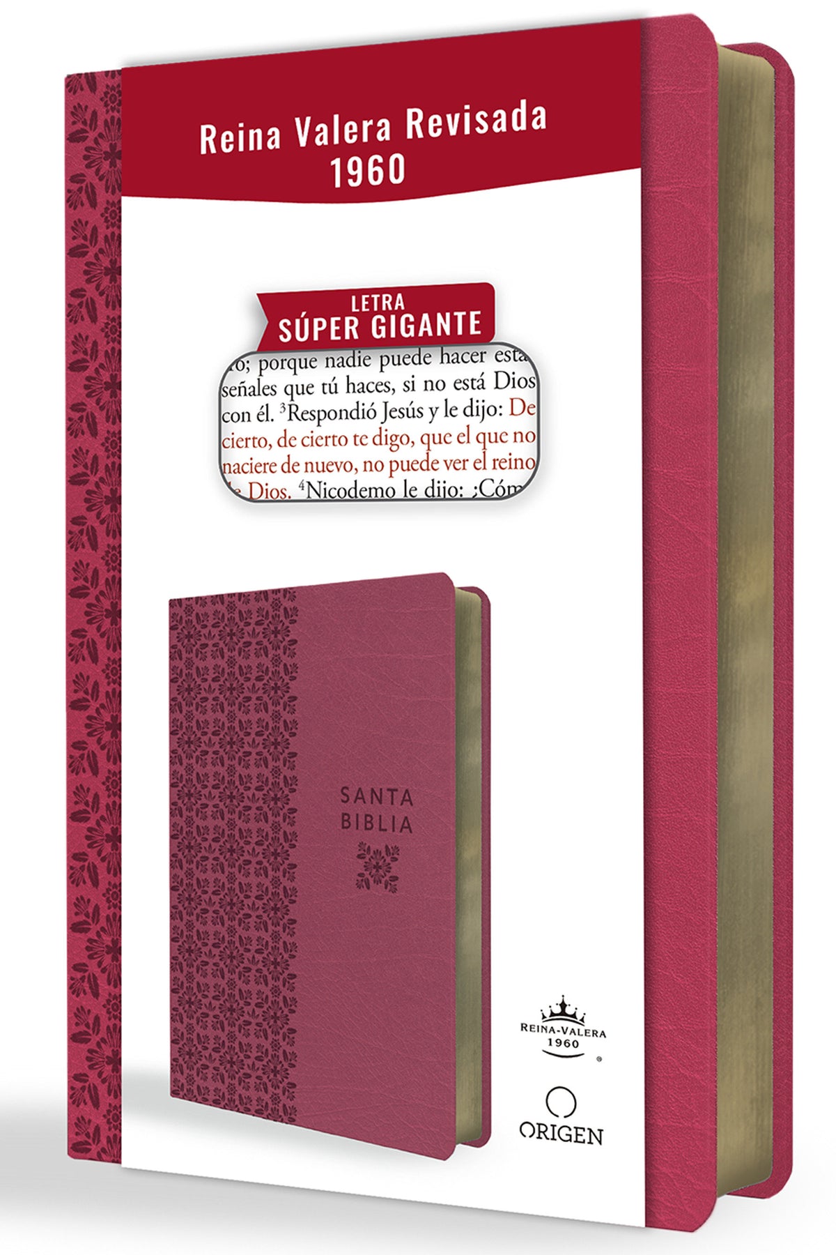 Biblia Reina Valera Revisada 1960 letra súper gigante, símil piel fucsia rosada / Spanish Bible RVR 1960 Super Giant Print, Fuchsia Pink Leathersoft cover (ISBN 9798890980045) [onix:350682140dedd3808e06ebbe8ba16c4b]