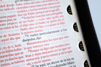 Biblia Reina Valera letra gigante, símil piel gris con cremallera e índice / Spanish Bible Reina Valera Giant Print, Gray Leathersoft with Zipper and Index interior 7 (ISBN 9798890988218) [onix:d7321ec475f6ff9a03f11b3a90d81c93]