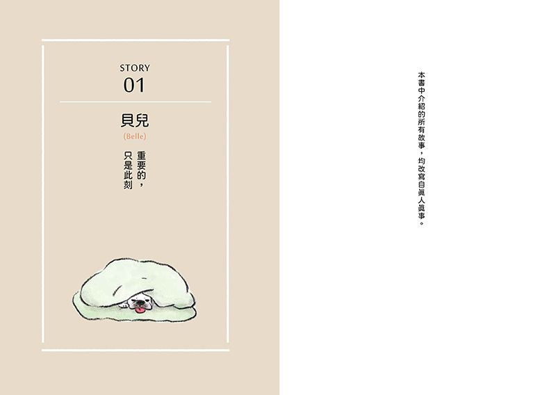 狗狗想傳達的事：儘管如此，狗狗還是只想和你在一起。