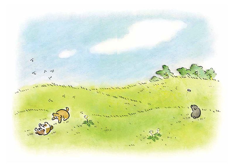 狗狗想傳達的事：儘管如此，狗狗還是只想和你在一起。