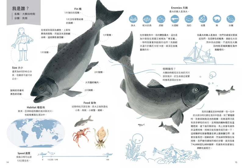 跟著動物去旅行〔動物繪本圖鑑3〕-Children’s / Teenage general interest: Nature and animals-買書書 BuyBookBook