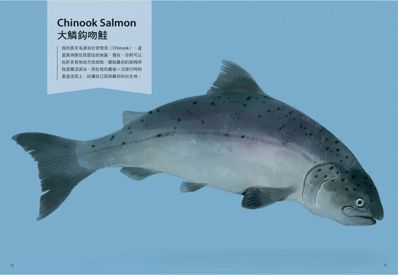 跟著動物去旅行〔動物繪本圖鑑3〕-Children’s / Teenage general interest: Nature and animals-買書書 BuyBookBook