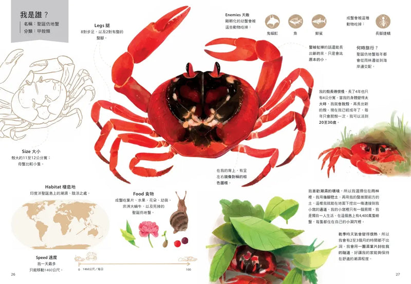 跟著動物去旅行〔動物繪本圖鑑3〕-Children’s / Teenage general interest: Nature and animals-買書書 BuyBookBook