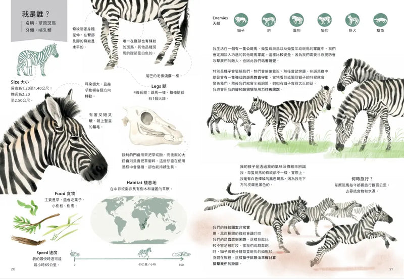 跟著動物去旅行〔動物繪本圖鑑3〕-Children’s / Teenage general interest: Nature and animals-買書書 BuyBookBook
