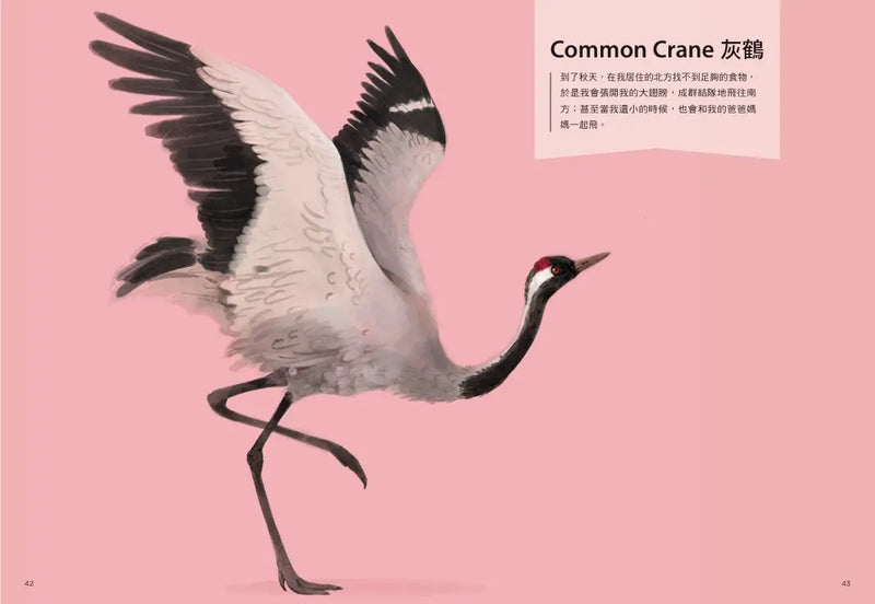 跟著動物去旅行〔動物繪本圖鑑3〕-Children’s / Teenage general interest: Nature and animals-買書書 BuyBookBook