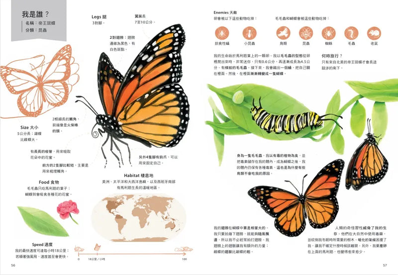 跟著動物去旅行〔動物繪本圖鑑3〕-Children’s / Teenage general interest: Nature and animals-買書書 BuyBookBook
