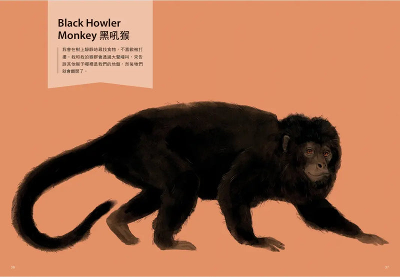 誰是動物大聲公？〔動物繪本圖鑑4〕：首批限量加贈「有聲動物小海報」-Children’s / Teenage general interest: Nature and animals-買書書 BuyBookBook