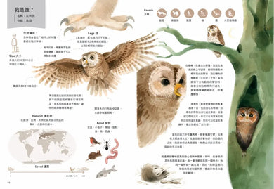 誰是動物大聲公？〔動物繪本圖鑑4〕：首批限量加贈「有聲動物小海報」-Children’s / Teenage general interest: Nature and animals-買書書 BuyBookBook