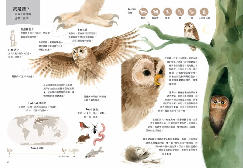 誰是動物大聲公？〔動物繪本圖鑑4〕：首批限量加贈「有聲動物小海報」-Children’s / Teenage general interest: Nature and animals-買書書 BuyBookBook