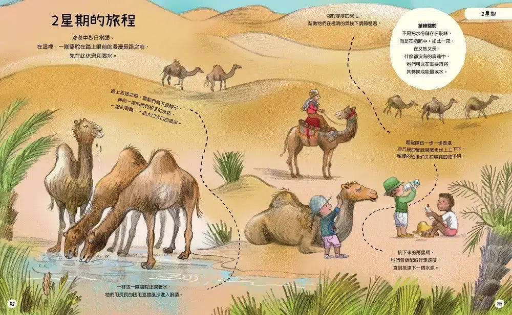 慢慢來：好事正在發生-Children’s / Teenage general interest: Nature and animals-買書書 BuyBookBook