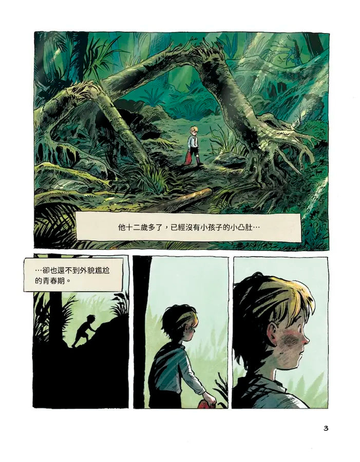 蒼蠅王（圖像小說版）：出版70年，首度授權改編-Graphic novels/ Comic books/ Manga/ Cartoons-買書書 BuyBookBook