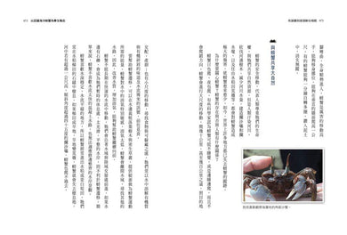 Inside Page 6
