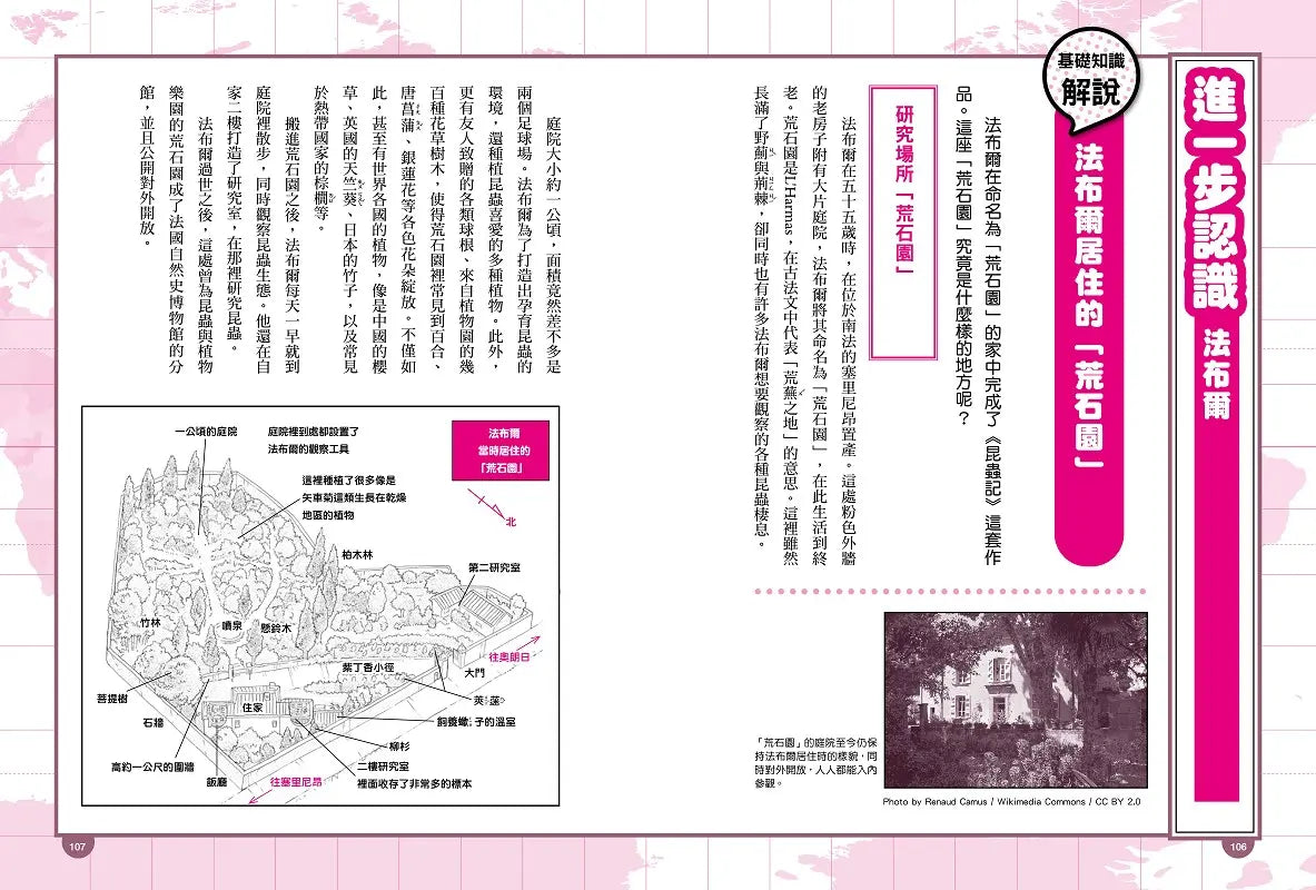 Inside Page 6
