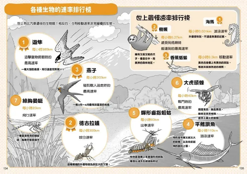 看漫畫秒懂小學數學：四則運算、小數與分數、單位、比率、表格與圖表、圖形-Graphic novels/ Comic books/ Manga/ Cartoons-買書書 BuyBookBook
