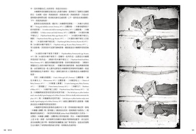 Inside Page 3