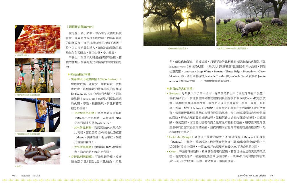 Inside Page 3