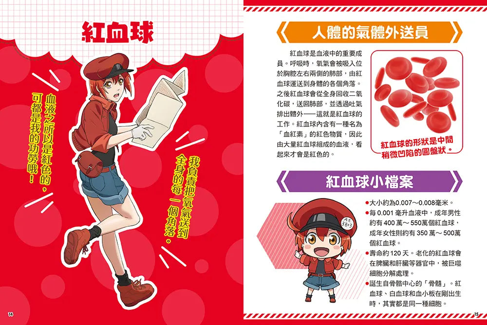 Inside Page 3