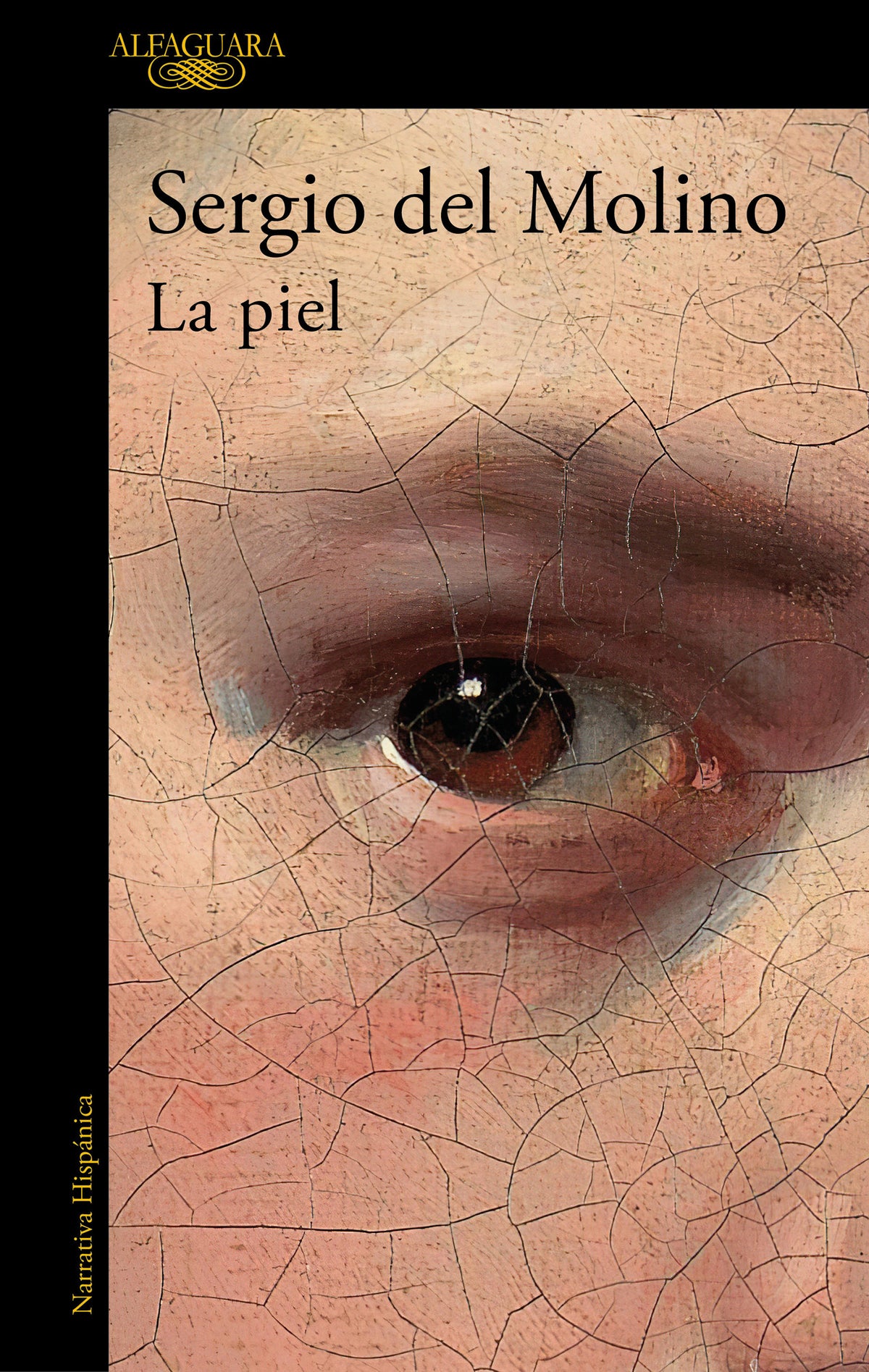 La piel / Skin cover (ISBN 9788420438924) [onix:67a2ca352c7a2473d53d65d2caa3d917]