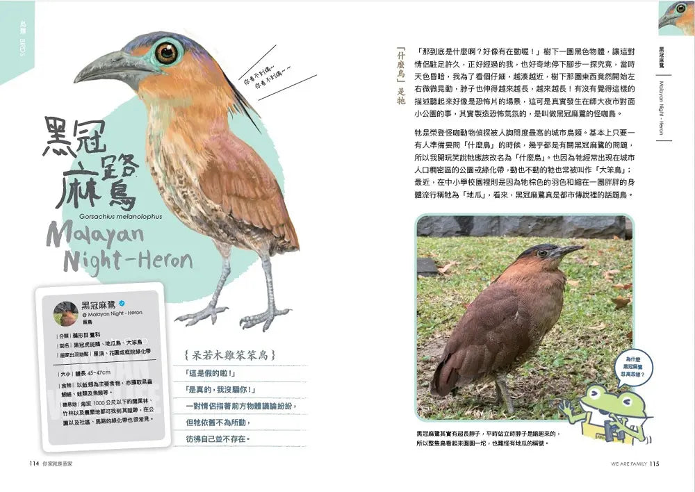 怪咖動物偵探 1：你家就是我家【首刷附贈怪咖動物明信片2款】-Children’s / Teenage general interest: Nature and animals-買書書 BuyBookBook
