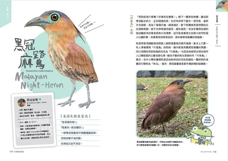 怪咖動物偵探 1：你家就是我家【首刷附贈怪咖動物明信片2款】-Children’s / Teenage general interest: Nature and animals-買書書 BuyBookBook