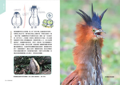 怪咖動物偵探 1：你家就是我家【首刷附贈怪咖動物明信片2款】-Children’s / Teenage general interest: Nature and animals-買書書 BuyBookBook