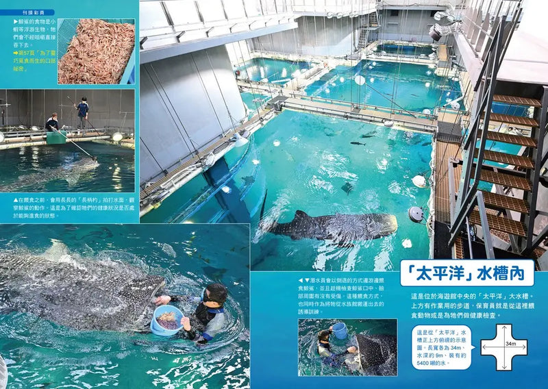 哆啦A夢知識大探索16：水族館祕密隧道 (藤子·F·不二雄)