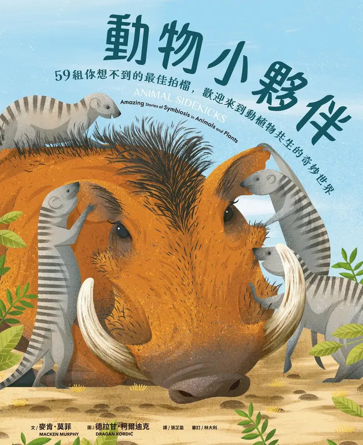 動物小夥伴：59 組你想不到的最佳拍檔，歡迎來到動植物共生的奇妙世界