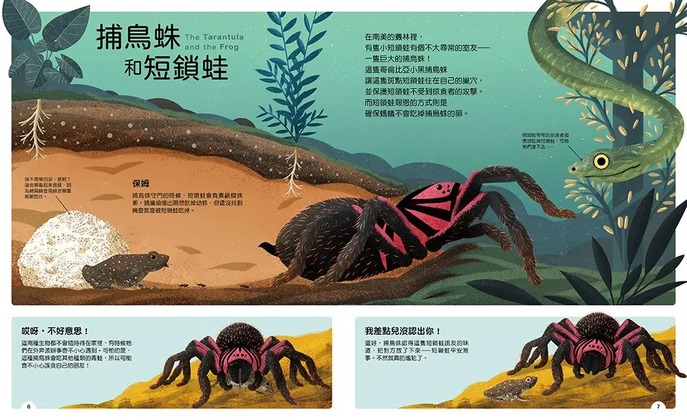 動物小夥伴：59 組你想不到的最佳拍檔，歡迎來到動植物共生的奇妙世界