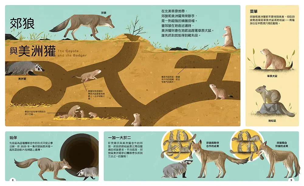 動物小夥伴：59 組你想不到的最佳拍檔，歡迎來到動植物共生的奇妙世界