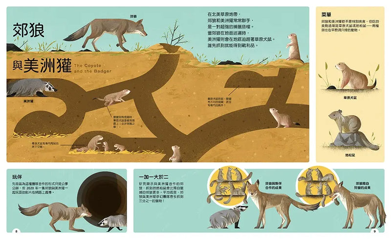 動物小夥伴：59 組你想不到的最佳拍檔，歡迎來到動植物共生的奇妙世界