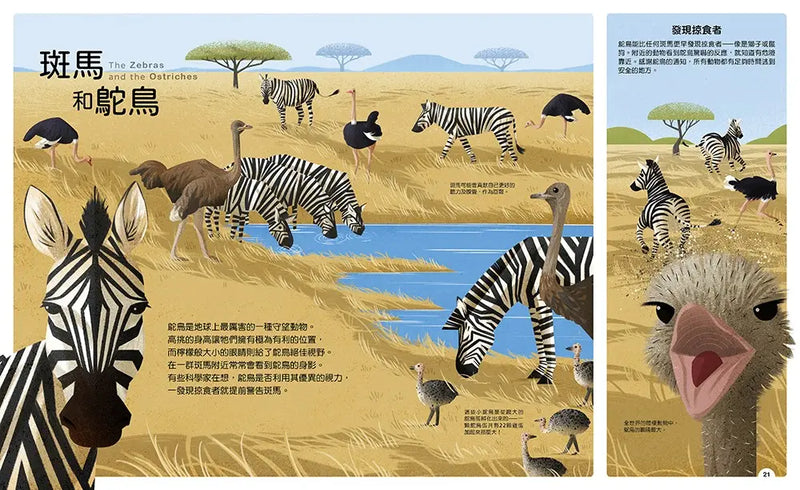 動物小夥伴：59 組你想不到的最佳拍檔，歡迎來到動植物共生的奇妙世界