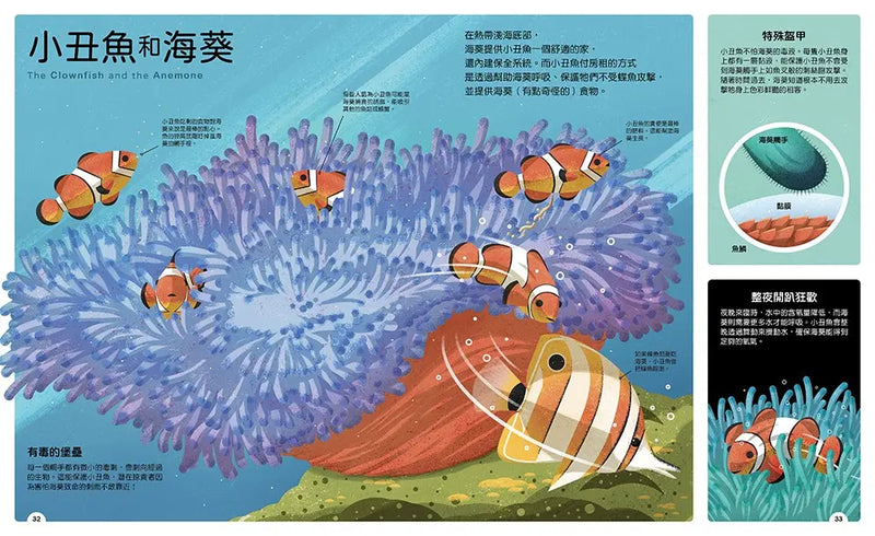 動物小夥伴：59 組你想不到的最佳拍檔，歡迎來到動植物共生的奇妙世界